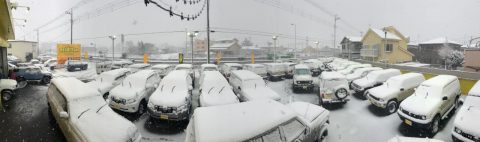 大雪　さいたま北店　パノラマ